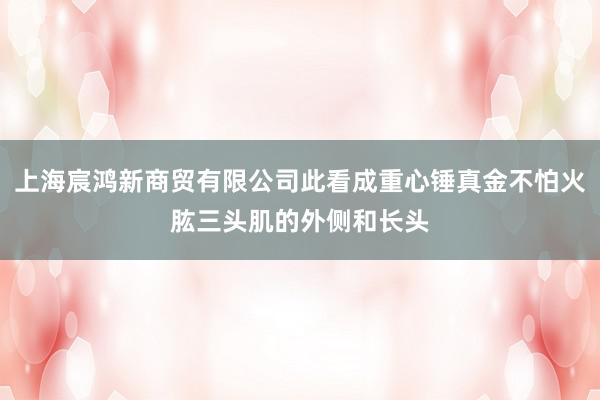 上海宸鸿新商贸有限公司此看成重心锤真金不怕火肱三头肌的外侧和长头