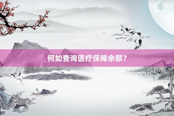 何如查询医疗保障余额？